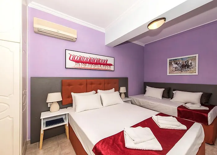 Andretina Sea View Apartamento Tsilivi (Zakynthos)